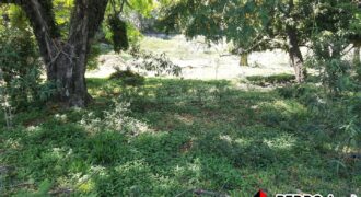 Terreno com 833² no Bairro das Posses em Serra Negra – SP