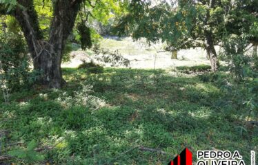 Terreno com 833² no Bairro das Posses em Serra Negra – SP