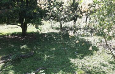 Terreno com 833,3m² no Bairro das Posses em Serra Negra- SP