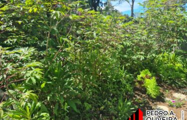 Chácara com 04 dormitórios e 1.340m² de área no Bairro Nova Serra Negra em Serra Negra – SP