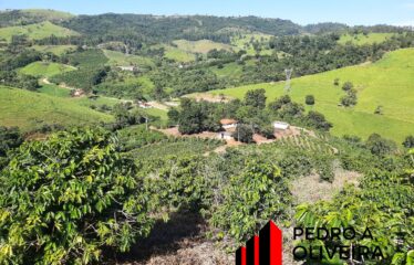 Sitio com 9,5 alqueires com café e nascente no Bairro das Tabaranas em Serra Negra – SP