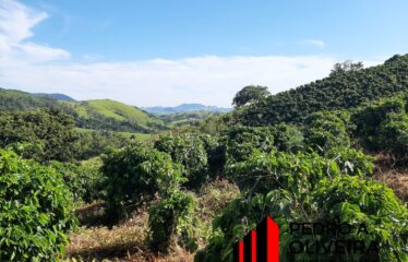 Sitio com 9,5 alqueires com café e nascente no Bairro das Tabaranas em Serra Negra – SP